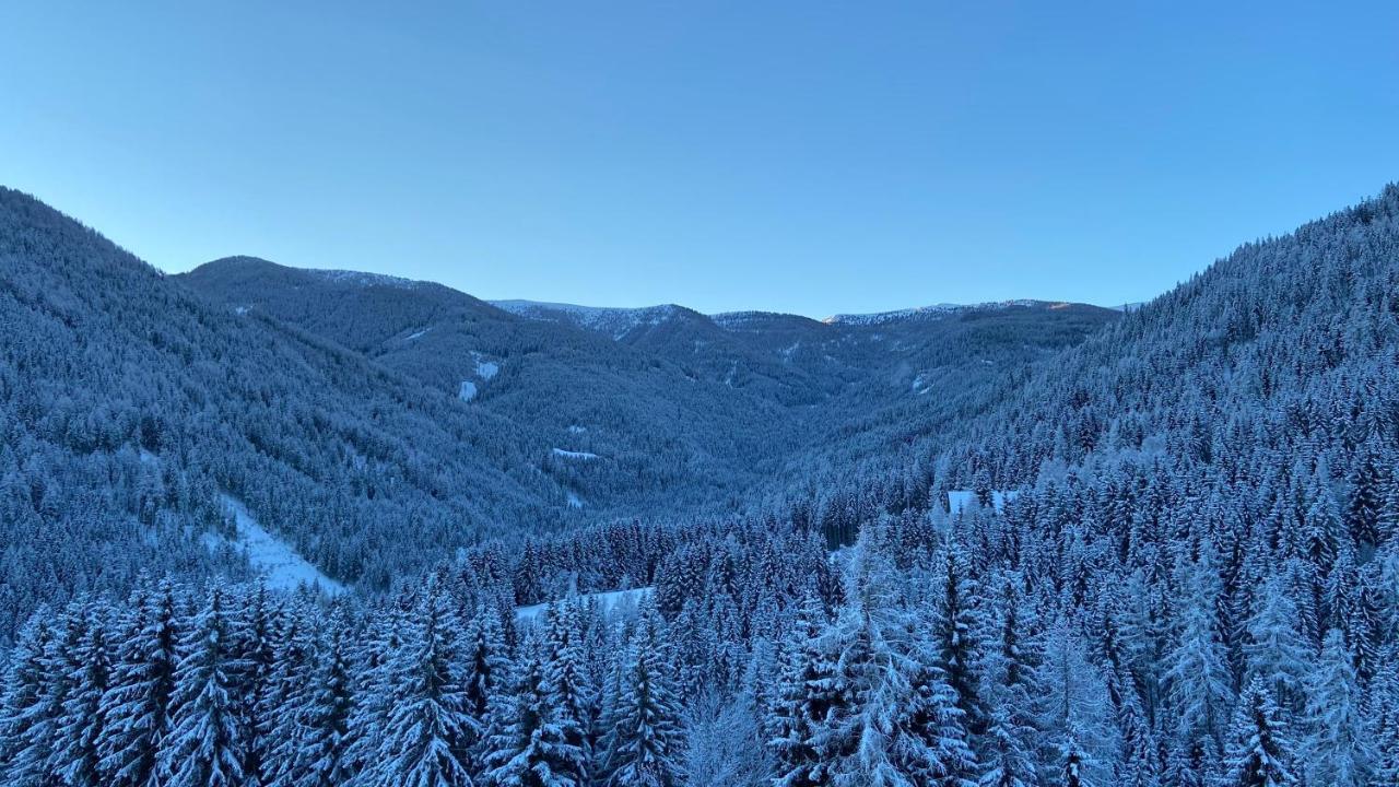 شقة Bergblick Ruhe Und Aussicht Auf 1100M سانكت جورجين أوب موراو المظهر الخارجي الصورة